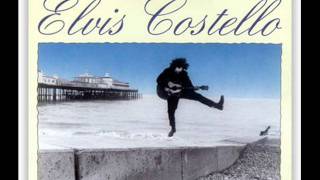 elvis costello the other side of summer
