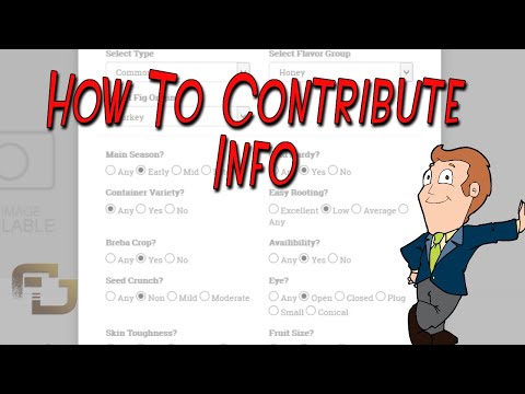 Ourfigs Forum