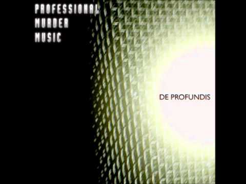 Professional Murder Music - High and Dry