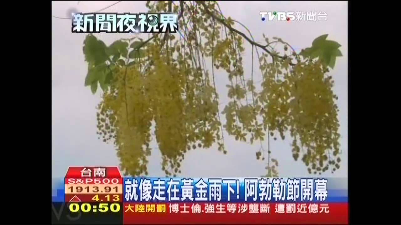 端午假期南部好嗨！花海　果節登場