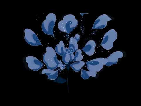 Yung Buda x niLL- Go Home (very rare)