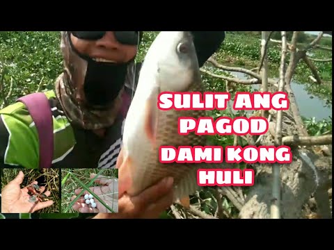 v.#14Tiksay fish hunting bawi sa dalawang malaking huli