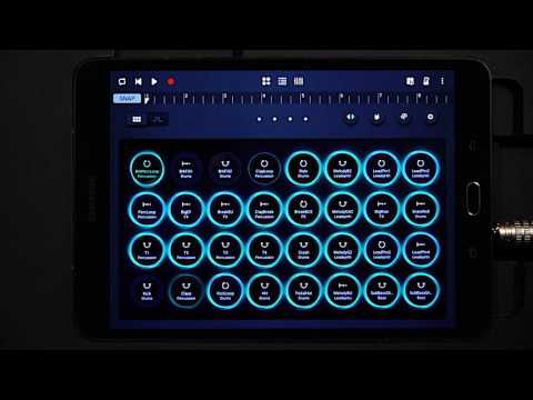 Jungle Lazer for Soundcamp Video