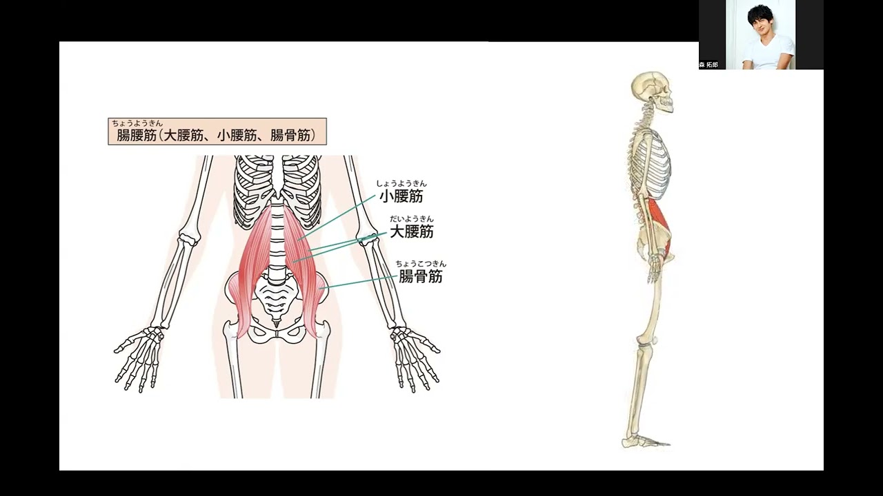 腸腰筋が弱ると下腹がぽっこりする