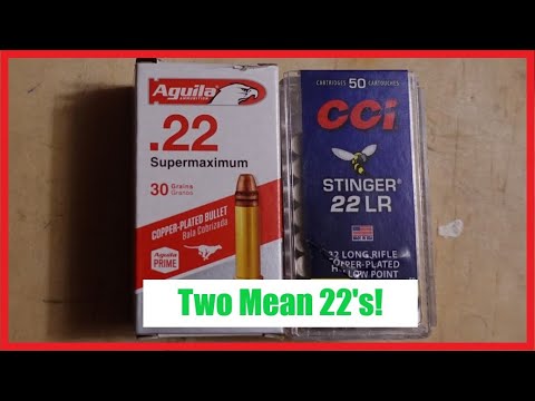 Battle of the Bruisers!  Supermaximum vs Stingers