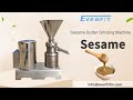 Sesame Butter Grinding Machine Sesame Paste Grinder Sesame