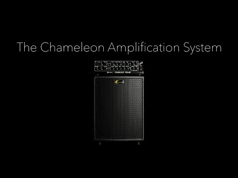 Buscarino Chameleon 2024 - Black image 5