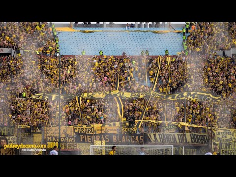 "â€œHoy te vinimos a verâ€ - Hinchada Peñarol Clásico - Clausura 2019" Barra: Barra Amsterdam • Club: Peñarol