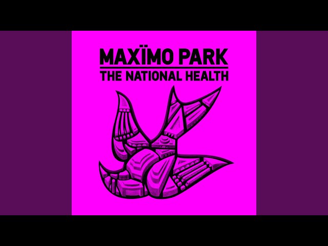 Maximo Park – The National Health (Remix Stems)