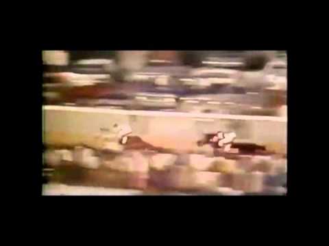 Secretariat and his Horse of the Year daughter, Lady's Secret.