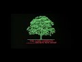 Opening To Blade Runner 1982 Director S Cut 1992 1997 DVD Side B Fullscreen