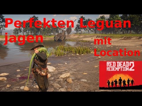Perfekten Leguan jagen Red Dead Redemption 2