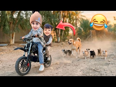 رحنا نجرّب الدراجة الرملية… وفجأة لقينا سبع جراوي! صارت كوارث😂😂