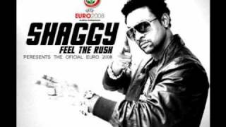Shaggy- Feel the rush