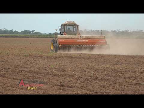 Siembra de CARINATA - CHARATA Provincia del Chaco - Ing. Agr. Juan Pablo Gomez - primera parte.