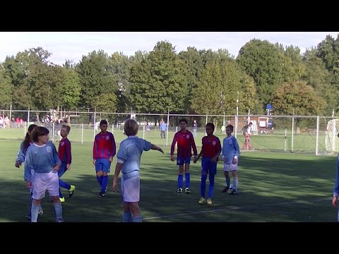 Samenvatting Hermes DVS D2 -  Kethel Spaland D2
