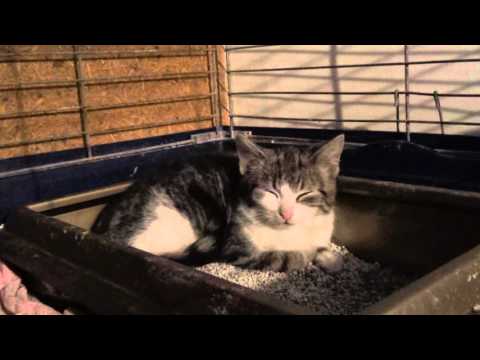 1% jest dla nas ważniejszy niż myślisz...