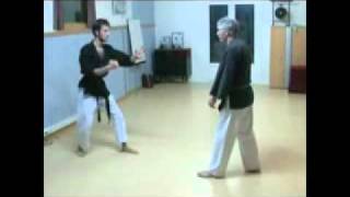 PATRICK BREGIER 7eme DAN