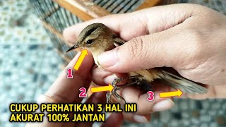 Download lagu TIPS MUDAH NGOMBYOK KERAK BASI SUPAYA DAPET YANG JANTAN DAN PROSPEK‼️ mp3