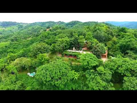 ขายด่วน!!! บ้านภูไพโรจน์ สไตล์ Homy Resort วิวภูเขา @ดอยแม่สลอง เชียงราย 🌿✨ – รูปที่ 2