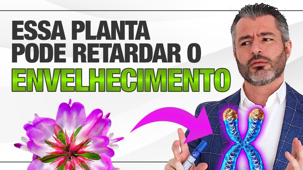 Como envelhecer de forma saudável? | TELÔMERO E A LONGEVIDADE