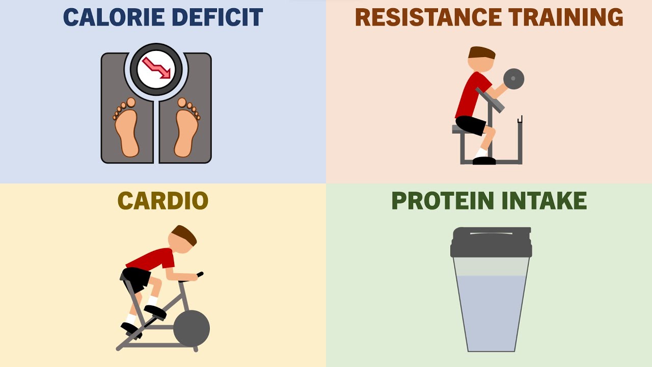 What Factors are Most Important for Fat Loss?