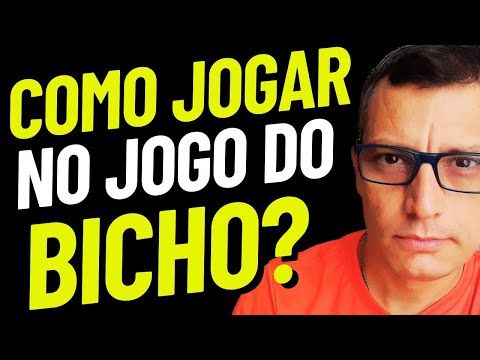 Como Jogar no Jogo do Bicho? Tipos de apostas e quanto Você Ganha?