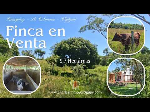 Paraguay - Ybytymí, La Colmena  - Finca Productiva de 9,7 ha en Venta PY221