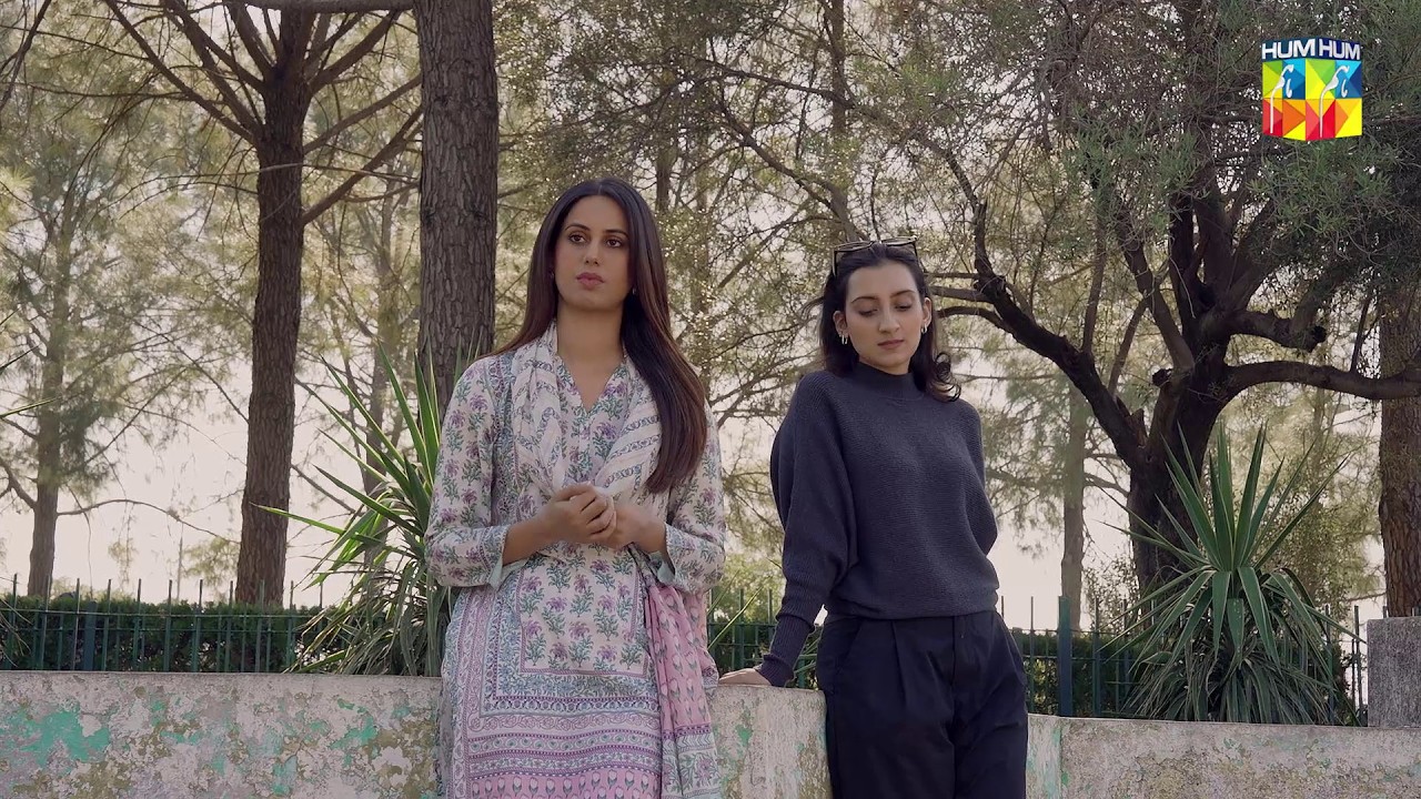 Aaj Tum Meray Saray Sawalon Ke Jawab Dogi.. #minsamalik #nabeelzuberi #hadd - HUM TV