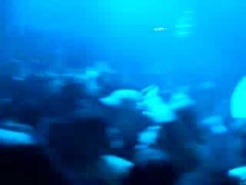 Carl Cox @ Space Ibiza 24/7/07 playing "Dubfire - Roadkill"