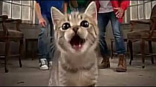 VAI SE FUDE ENTÃO PIRANHA