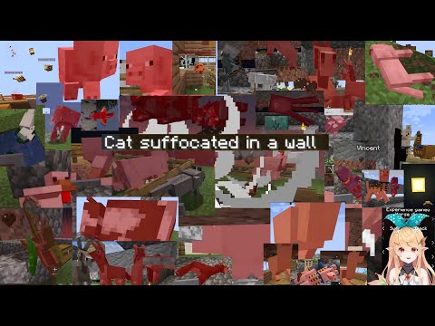 Pomu's Minecraft Adventure Ends in Animal Tragedy
