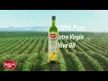Olive Oil 2026 15 Shopee