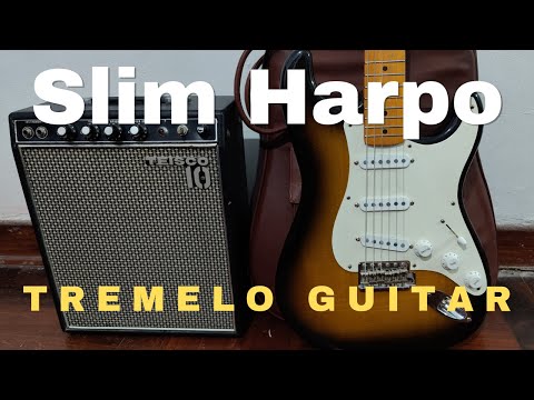 Slim Harpo | Blues Guitar Lesson | Scratch My Back Guitar Tutorial