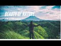 Nature Views Nature Its Beauty HK Creations