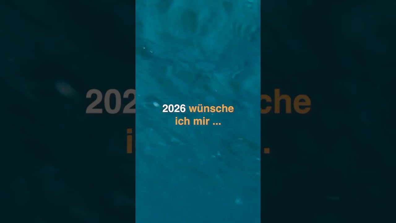 Ausblick: OceanCare's Wünsche für 2026!