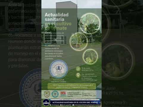𝐈𝐍𝐓𝐀 𝐘𝐔𝐓𝐎: 𝐄𝐍 𝐇𝐎𝐑𝐀𝐒, 𝐈𝐍𝐈𝐂𝐈𝐀 𝐔𝐍𝐀 𝐉𝐎𝐑𝐍𝐀𝐃𝐀 𝐃𝐄 𝐓𝐑𝐀𝐁𝐀𝐉𝐎 𝐄𝐍 𝐋𝐀 𝐀𝐆𝐑𝐎𝐓𝐄́𝐂𝐍𝐈𝐂𝐀 𝐍° 𝟓 𝐃𝐄 𝐋𝐀 𝐂𝐈𝐔𝐃𝐀𝐃 𝐅𝐑𝐀𝐈𝐋𝐄Ñ𝐀