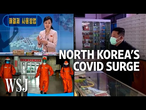 North Korea Fights Covid With Painkillers, Lockdowns and TV Health Segments WSJ