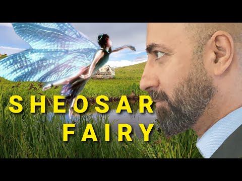 S H E O S A R    F A I R Y