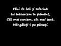 Stefan Hrusca - Ruga pentru parinti ( In memoria ...