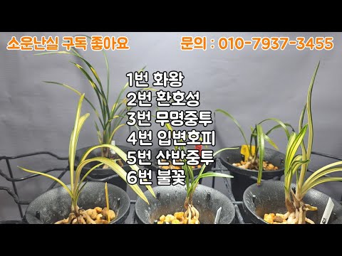 유튜브 썸네일