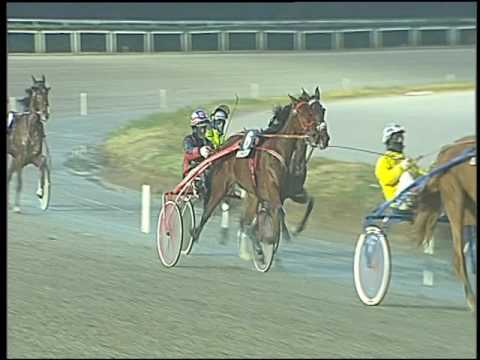 Trotto 03/01/2017 - 5ª corsa