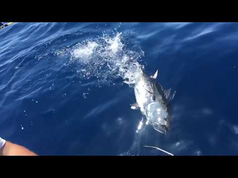 The Ultimate Furuno Fishing Package