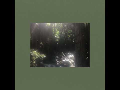 Thanksgiving In Sacramento by Jon Brion (Extended) [Used Capcut]