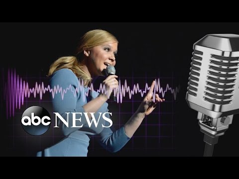 Amy Schumer Accused of Stealing Jokes