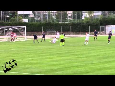 L'Osservatore in poltrona - Ferretti Gustavo (stagione 2013/2014)