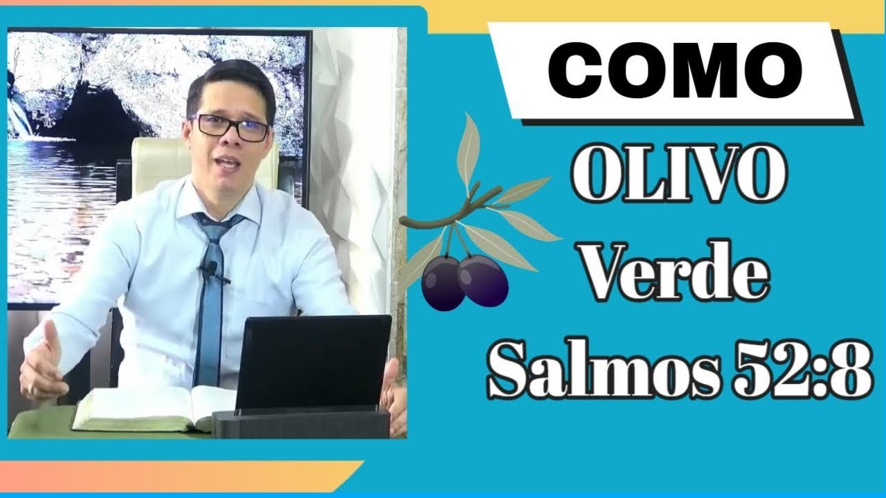 Como Olivo Verde en la Casa de Dios