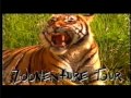 WIN TV Ad ZooVenture Tour 2004