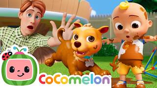 JJ's New Best Friend B.I.N.G.O.! 🐶 | Puppy Day | CoComelon Nursery Rhymes & Kids Songs