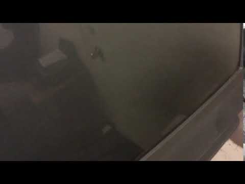 Cockroach pest control - Japco